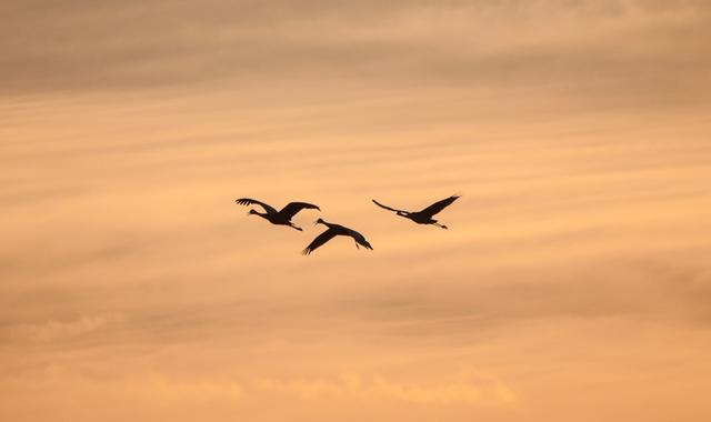 王世贞父子三人与武当山