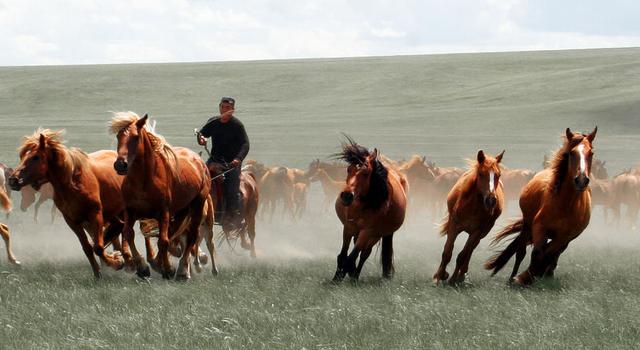 大明张天师评传丨张宇初：是非成败转头空