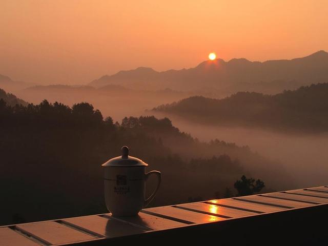 从《红楼梦》看贵族的医学养生教育