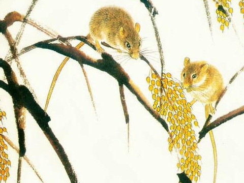 2026年9月属鼠的爱情状况  