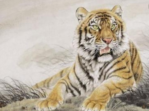 2026年9月属虎的爱情状况  