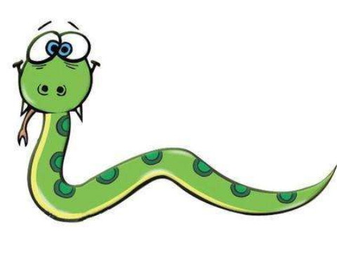 2026年10月生肖蛇运势