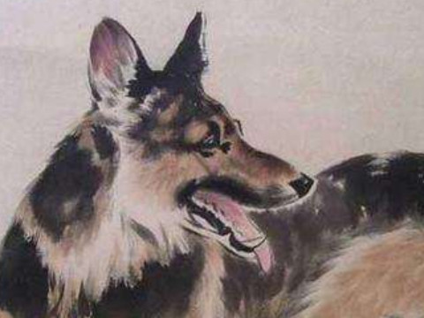 总结属狗人2026年下半年的运势