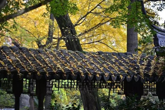 作为一名医药学家，孙思邈却写出了道教最本真的哲学观