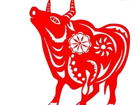 2026年10月属牛人什么运最好