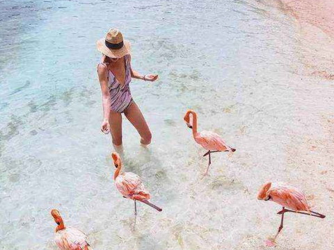 哪种八字的人会借了钱不还