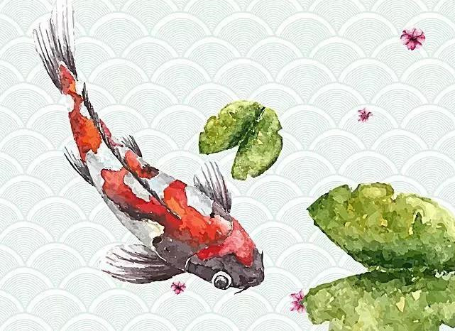 全国都在转锦鲤,中国人为什么相信“锦鲤”会带来好运?