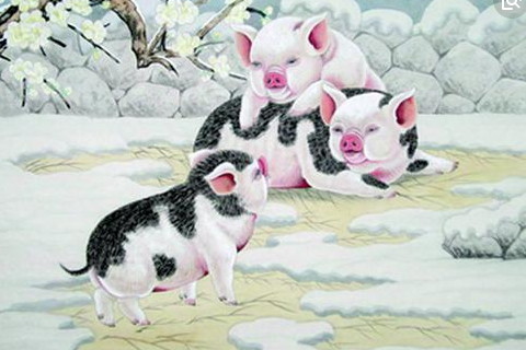 2026年12月生肖猪运势运程