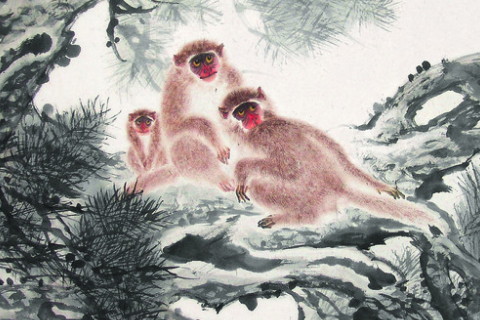 2026年12月生肖猴运势运程