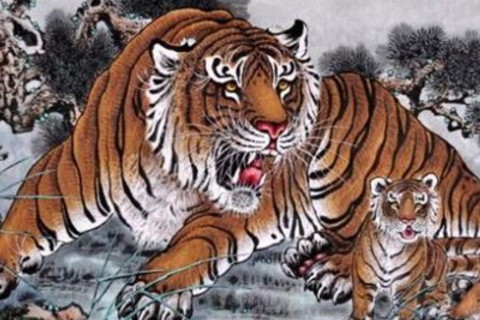 2026年12月生肖虎运势运程