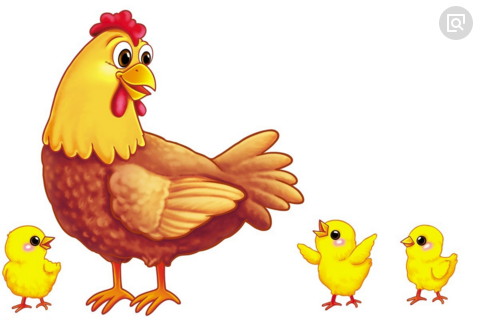 2026年12月生肖鸡运势运程