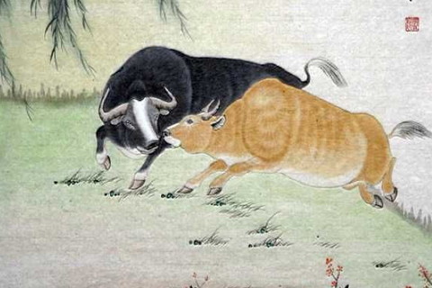 2026年12月生肖牛运势运程