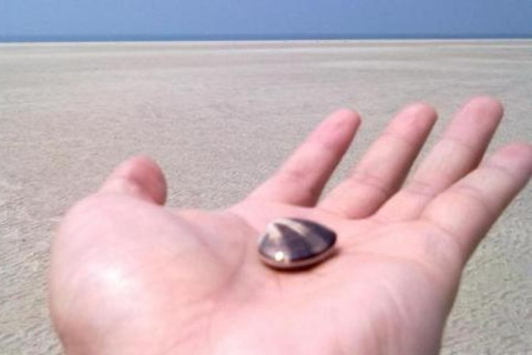 有哪些注定要二婚手相图解