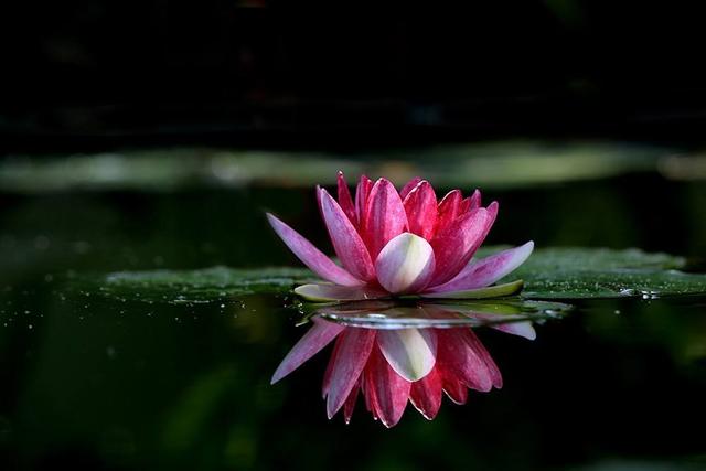 信仰之“道”: 我为什么信仰道教?