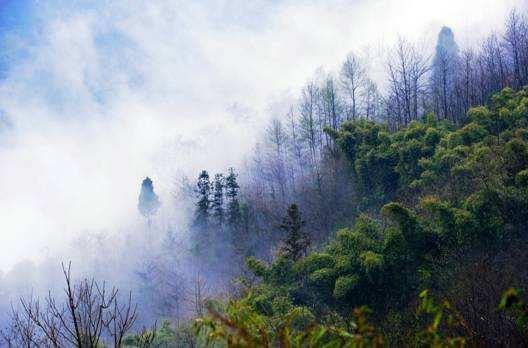 大明张天师评传丨张玄庆：白象潭投符降雷雨 张天师羽化长生观
