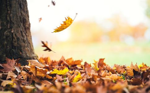 抵挡秋燥要看人