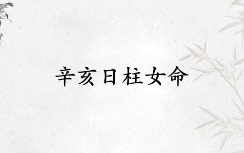 辛亥日柱女命终身详解