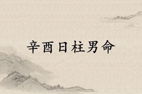 辛酉日柱男命运详解