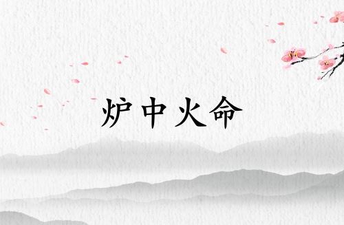 炉中火命佩带木饰品好不好