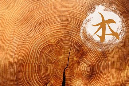 木命人生在几月最好