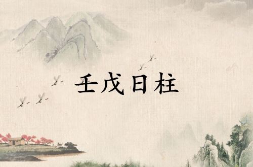 壬戊日柱是上等日柱吗