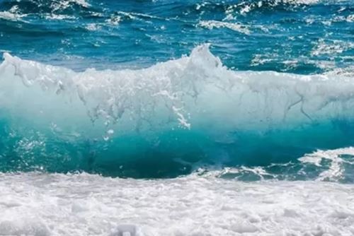 大海水命和海中金命在一同适宜吗