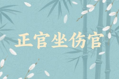 正官坐伤官是伤官见官吗