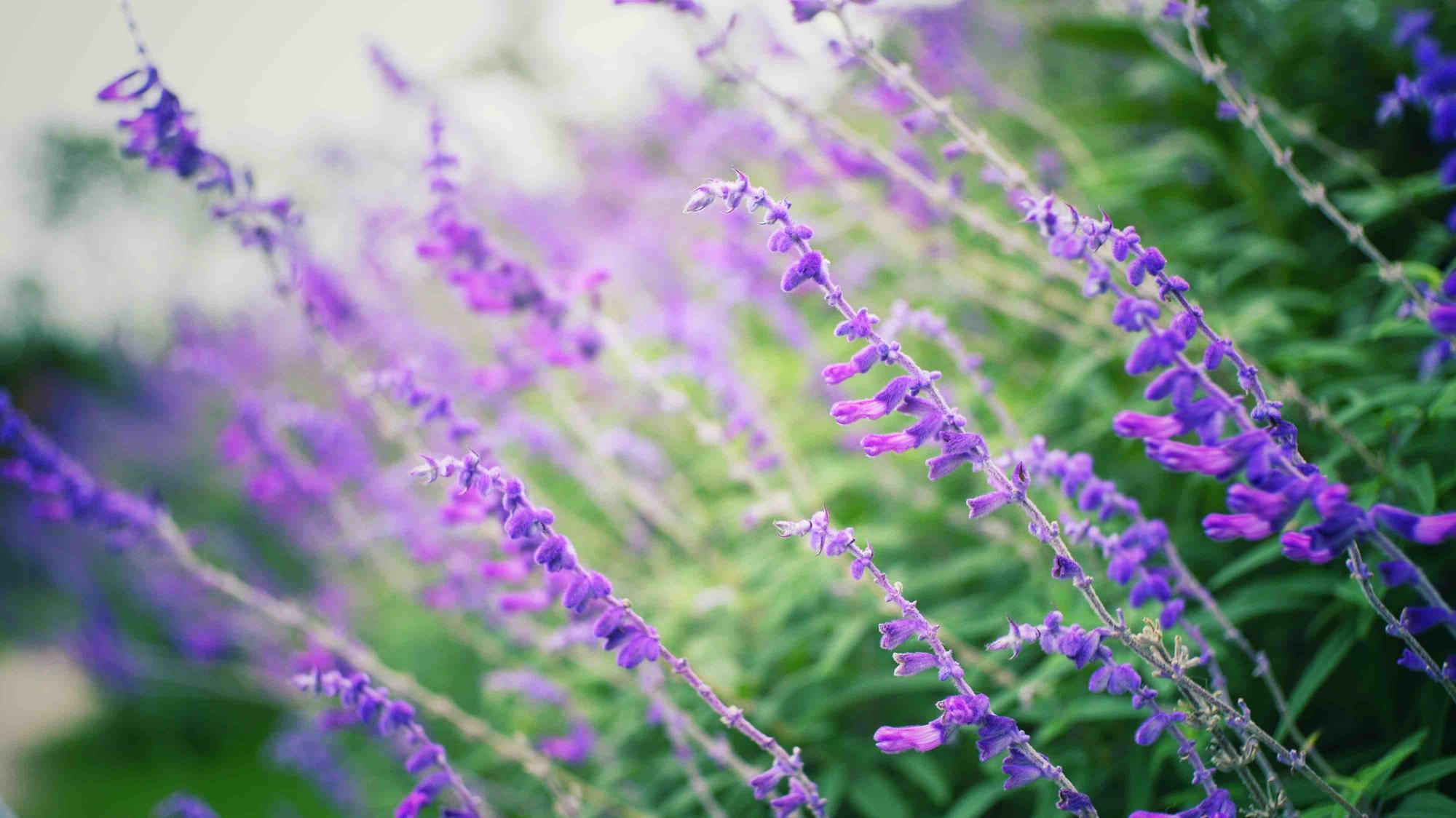 八字看另一半是不是顾家