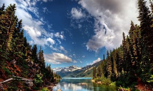 金钱旺盛的八字有哪些属相 金钱旺盛的八字有哪些属相呢