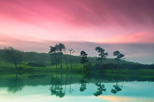 乙木男命是什么意思 乙木男适宜从事什么职业