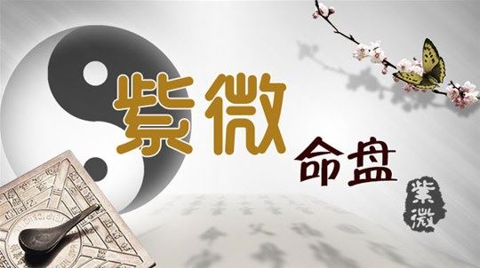 宫位系统对斗数的含义