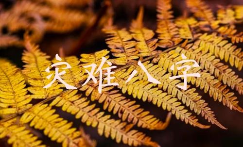 命局里易呈现灾祸的八字