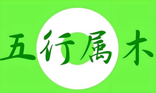 五行属木的字大全男孩