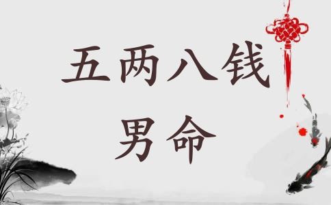 五两八钱男命具体解说终身