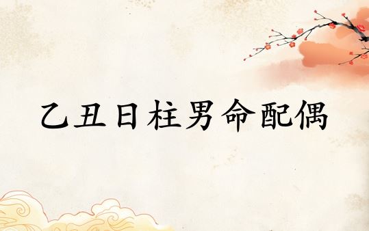 乙丑日柱男命爱人性格特点