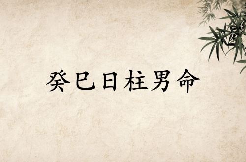 癸巳日柱男命运详解