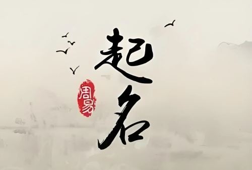 起名需求留意哪些方面