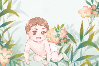 2026兔年最旺男孩双胞胎姓名 2026男兔宝宝姓名