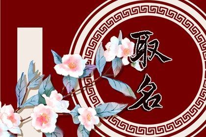 2026龙年姓袁男孩最佳姓名引荐