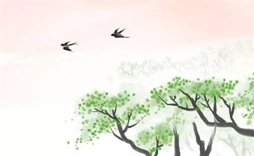 东四命西四命准吗 东四命西四命算法公式