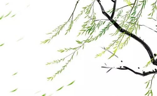 2026年3月7日出世宝宝什么命格 今天出世宝宝性情解析