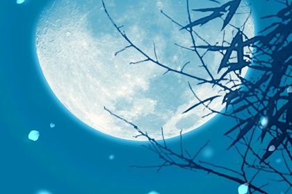 己卯日柱男命财气婚姻状况剖析