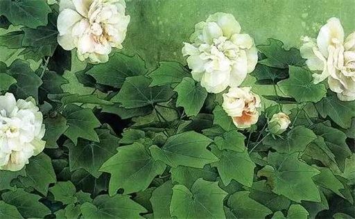 癸水女嫁人忌讳 癸水女能够嫁什么样的人