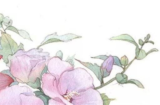 劫财格男命的最佳爱人 劫财格是几等命