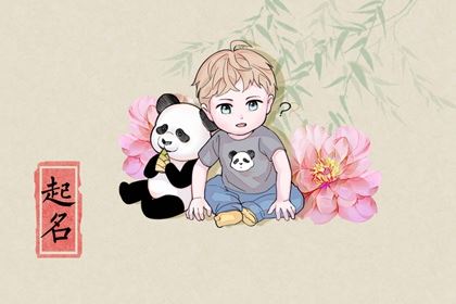宝宝起名 属龙男孩起名吉利姓名