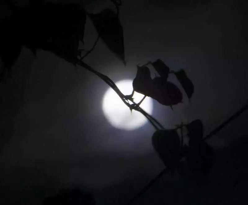 下篇：每个月1号出世的人命理是怎样的？,9月-12月