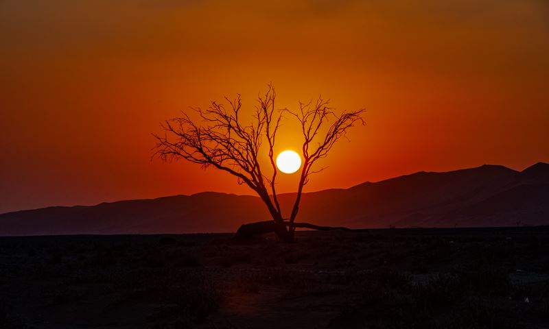 什么八字的人简单有桃花运？