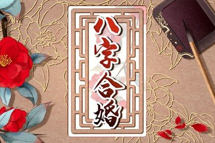 丙戌日柱爱人才能 癸卯日看爱人长相