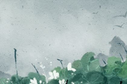 女水命和男木命 在一起合财吗