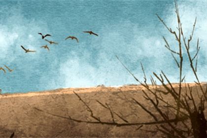 日柱庚戌女命终身会阅历几回婚姻